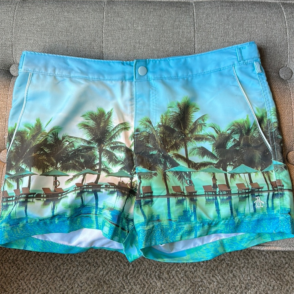 Men’s Swim Shorts size 33 waist